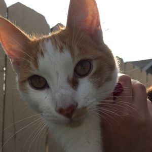 Meet your Posher, Maddy